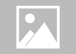 国产在线h,探索国产h的无限魅力