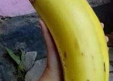 国产对白大香蕉,揭秘国产影视作品的魅力与影响力