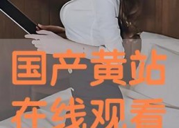 国产黄站,探索中国网络文化新趋势