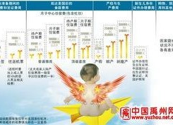 美国产子政策
